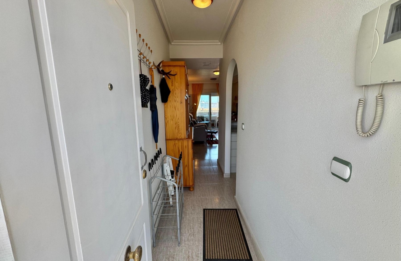 Reventa - Apartamento - Almoradi