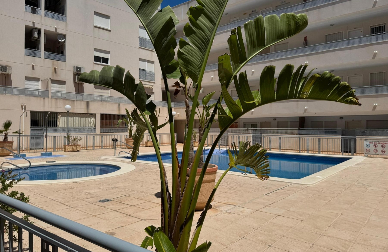 Reventa - Apartamento - Almoradi