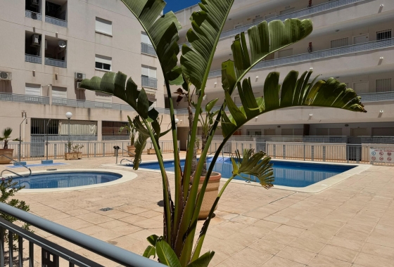Reventa - Apartamento - Almoradi