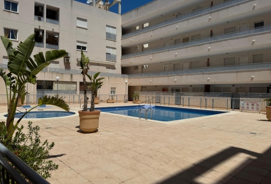 Reventa - Apartamento - Almoradi