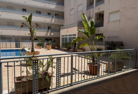 Reventa - Apartamento - Almoradi