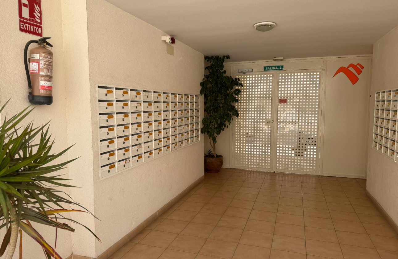 Reventa - Apartamento - Almoradi