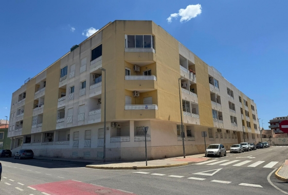 Reventa - Apartamento - Almoradi