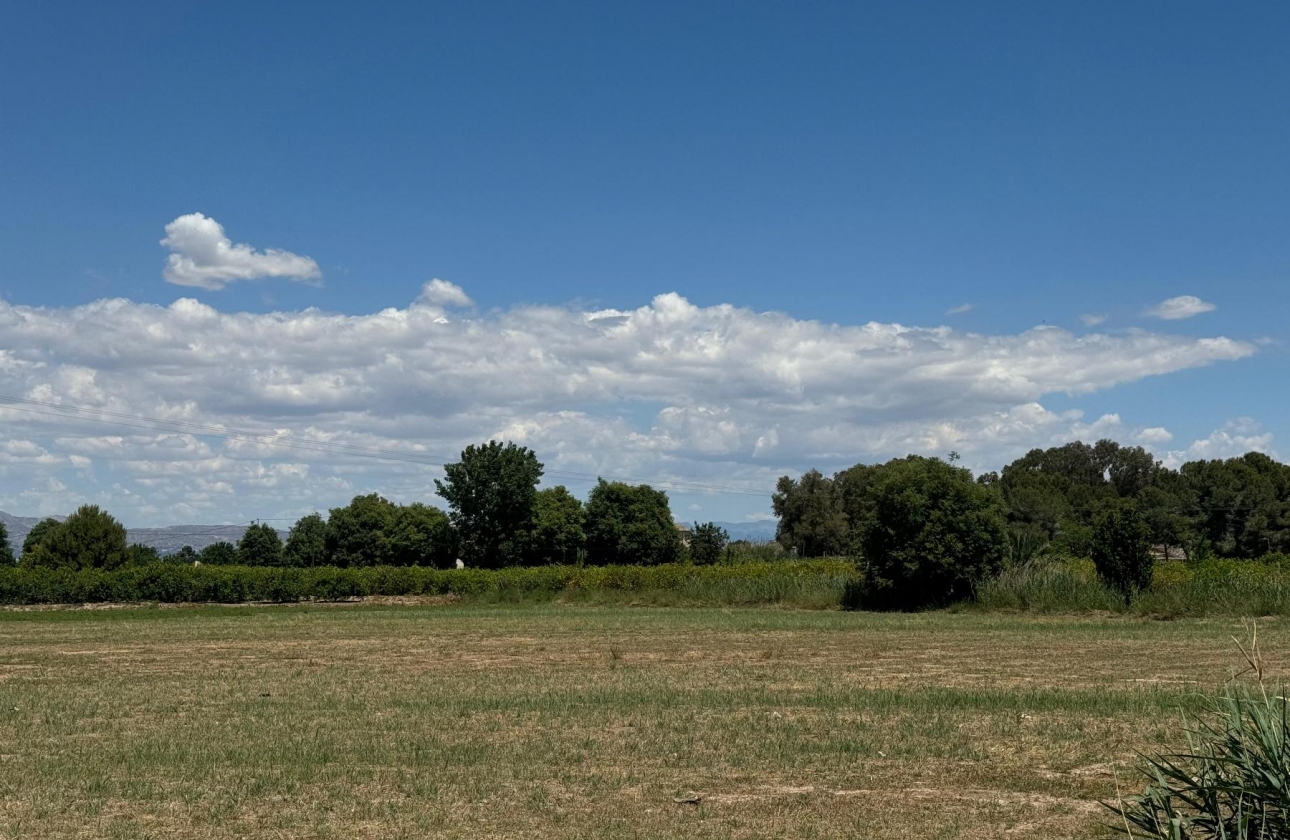 Reventa - Apartamento - Almoradi