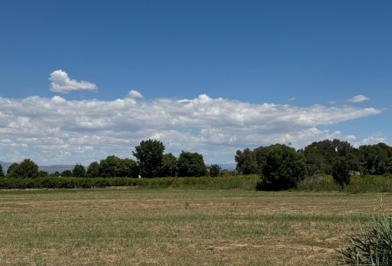 Reventa - Apartamento - Almoradi