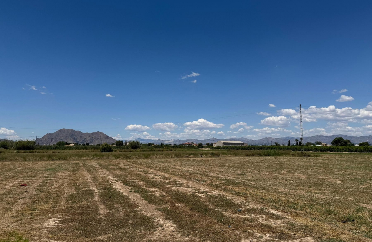 Reventa - Apartamento - Almoradi