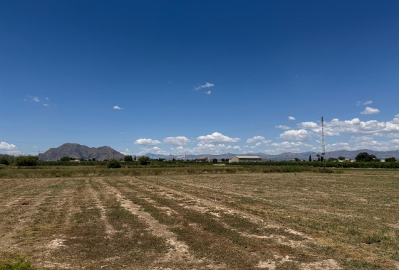 Reventa - Apartamento - Almoradi