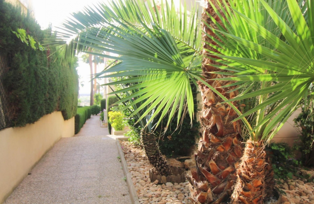 Resale - Apartment - Torrevieja - La Veleta