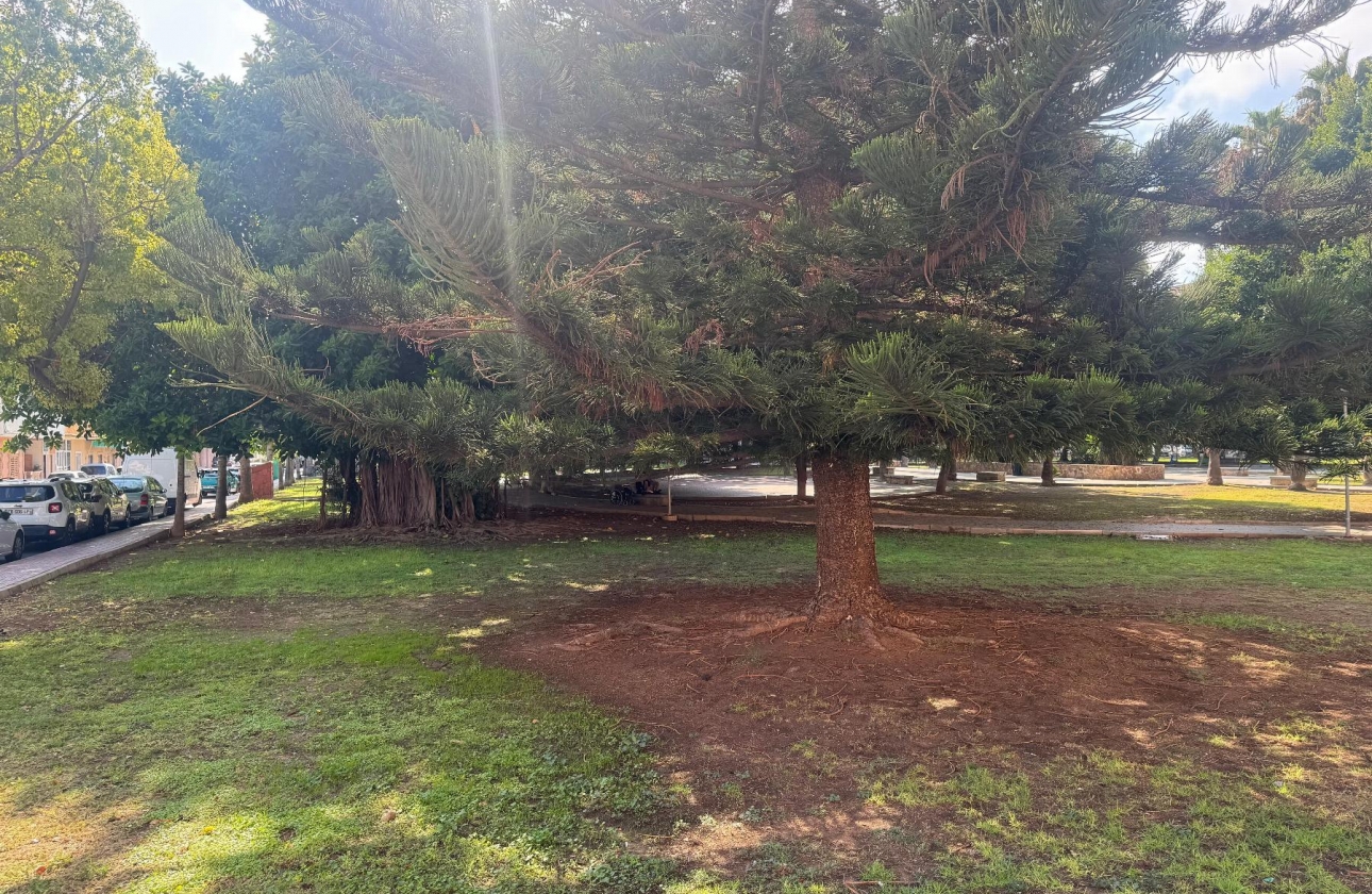 Resale - Apartment - Torrevieja - Playa del Acequión