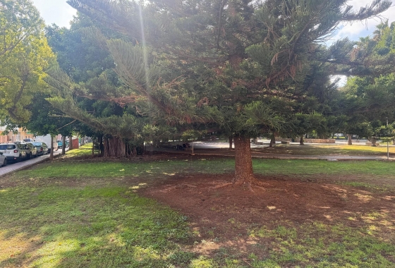 Resale - Apartment - Torrevieja - Playa del Acequión