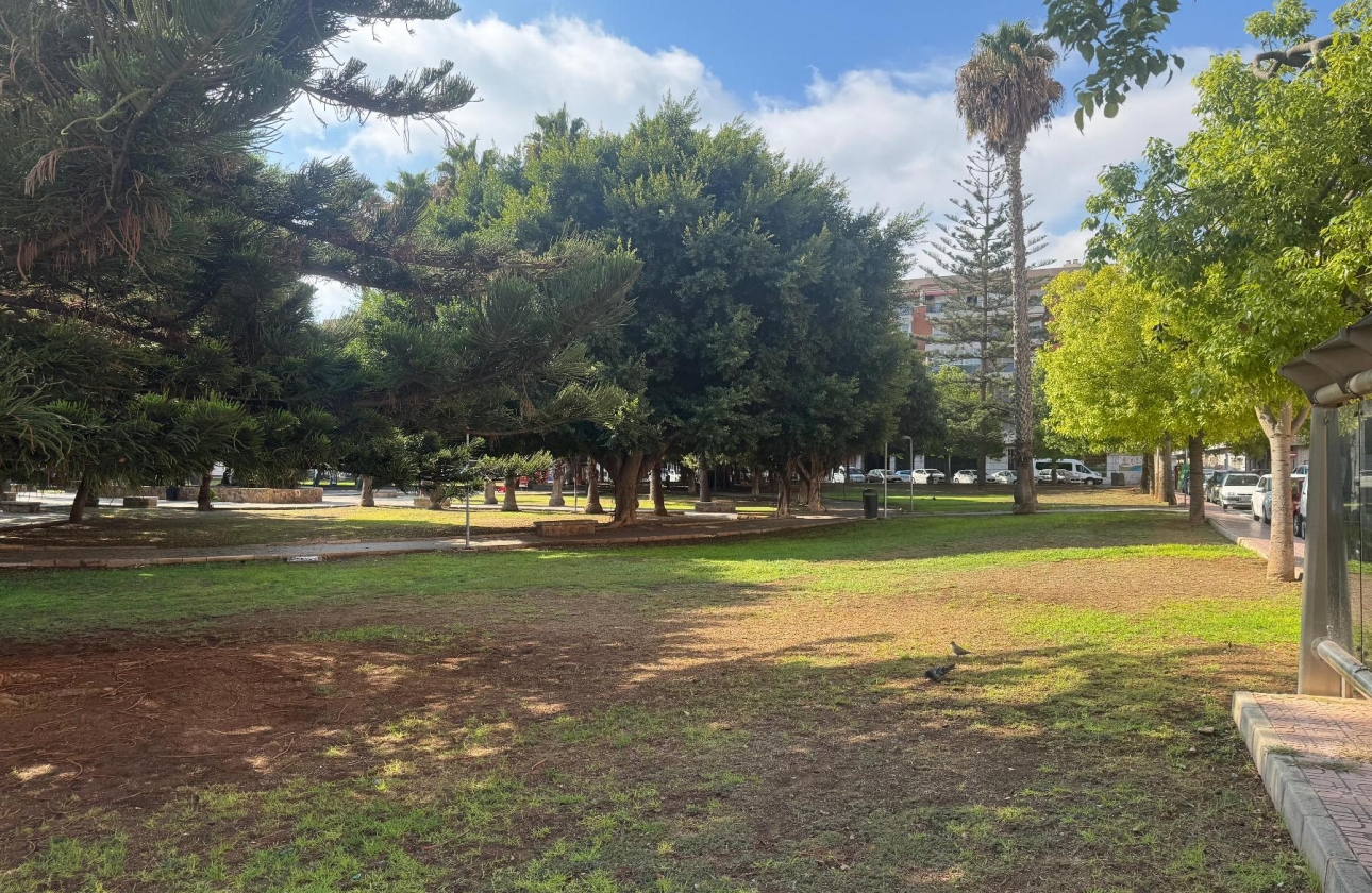 Resale - Apartment - Torrevieja - Playa del Acequión