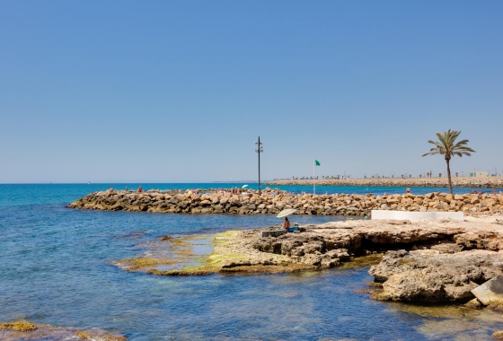 Wiederverkauf - Wohnung - Torrevieja - Parque de Las Naciones