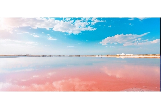 New Build - Bungalow - Torrevieja - Los Balcones