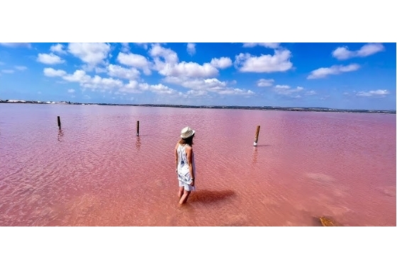 New Build - Bungalow - Torrevieja - Los Balcones