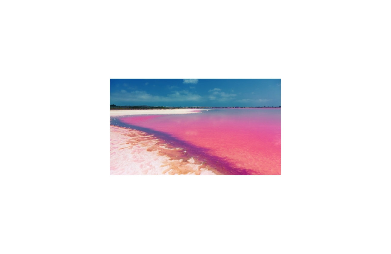 New Build - Bungalow - Torrevieja - Los Balcones