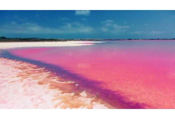 New Build - Bungalow - Torrevieja - Los Balcones