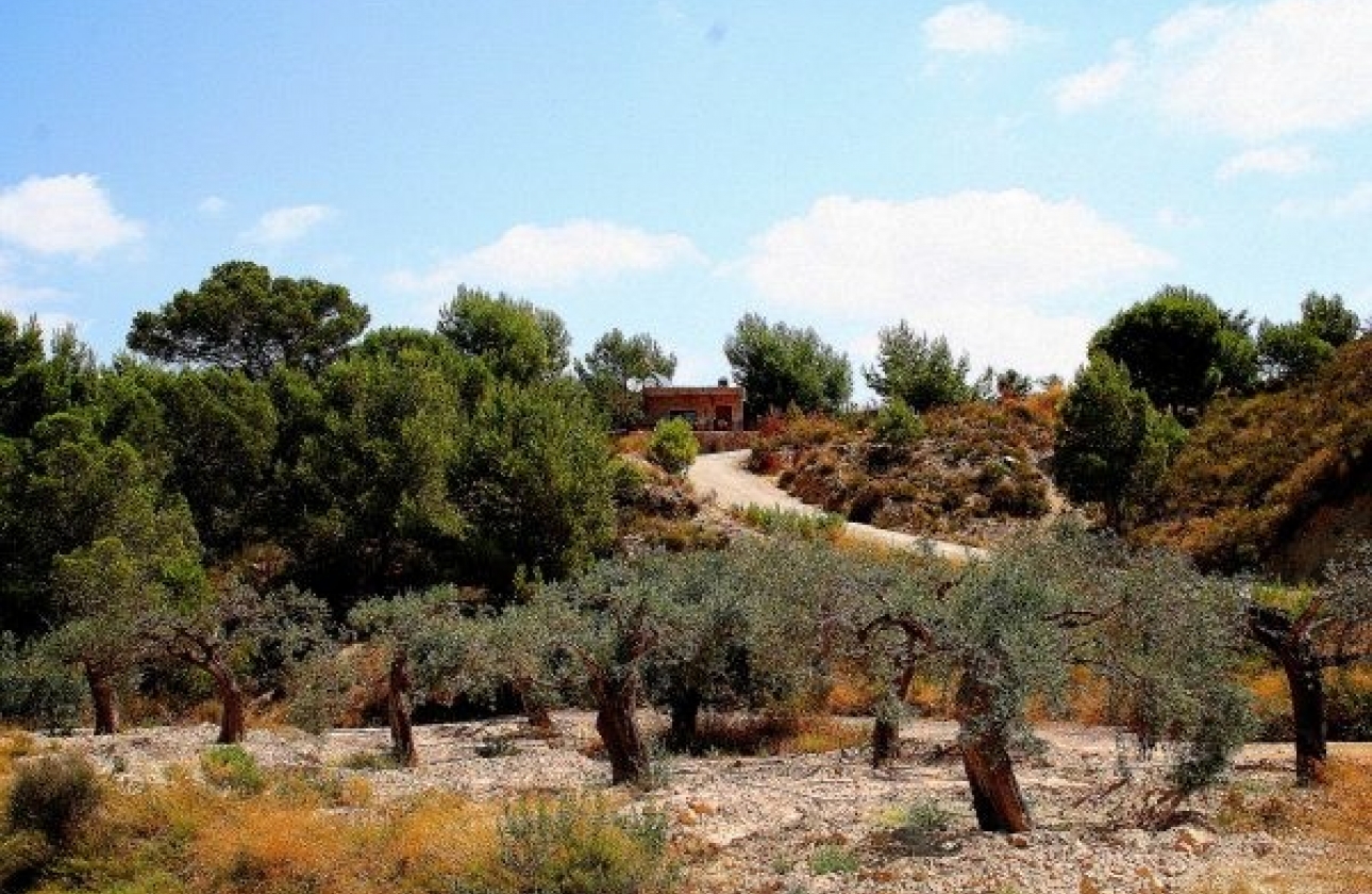 Resale - Country House - Murcia