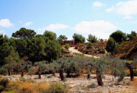 Resale - Country House - Murcia