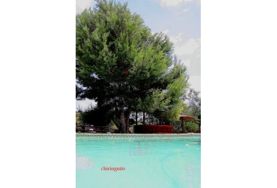 Resale - Country House - Murcia