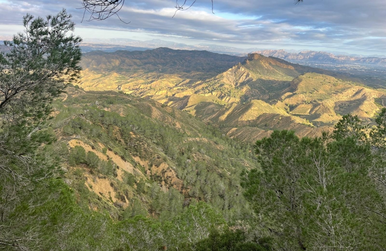 Resale - Country House - Murcia