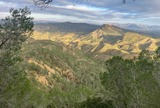 Resale - Country House - Murcia