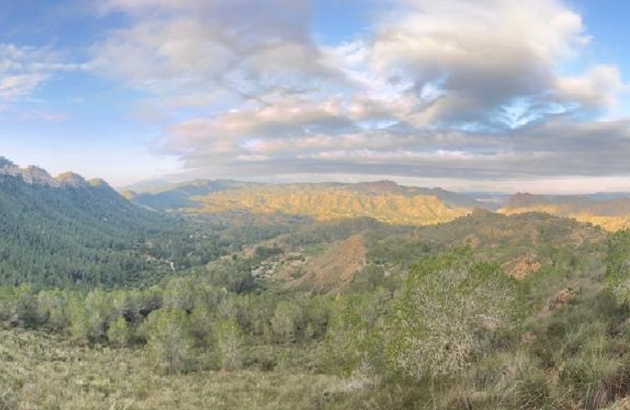 Resale - Country House - Murcia