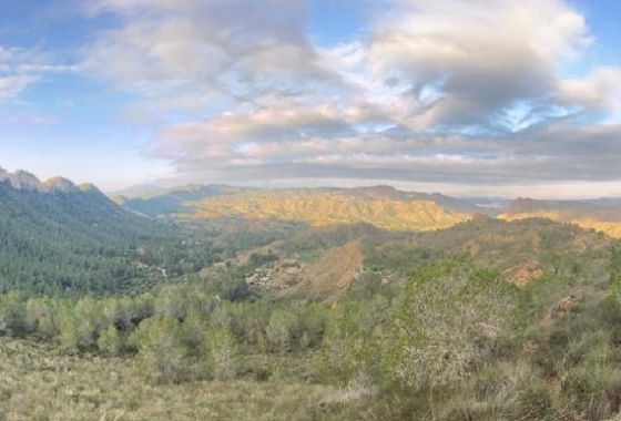 Resale - Country House - Murcia