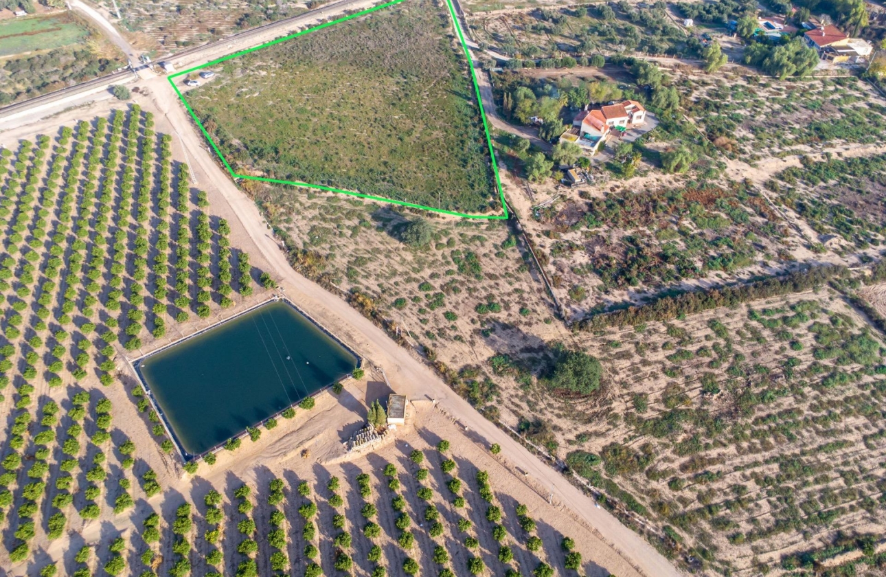 Resale - Country Land - Crevillent - Comunidad valenciana