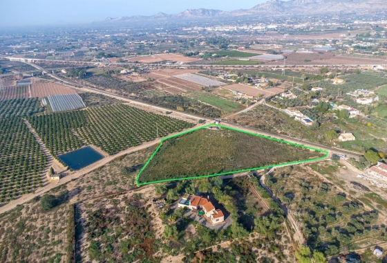 Resale - Country Land - Crevillent - Comunidad valenciana