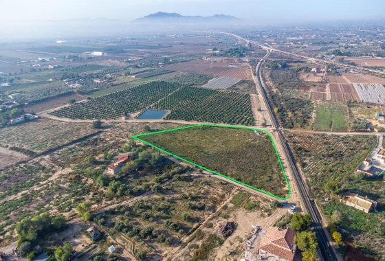 Resale - Country Land - Crevillent - Comunidad valenciana