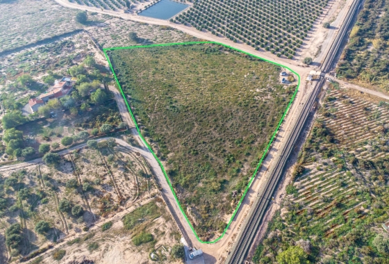 Resale - Country Land - Crevillent - Comunidad valenciana