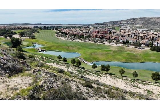 New Build - Villa - Algorfa - La Finca Golf