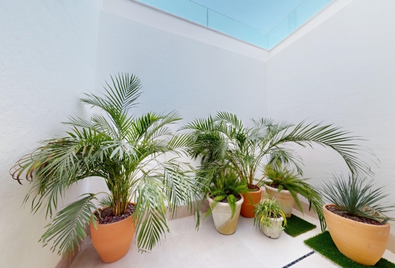 Nouvelle construction - Villa - Finestrat