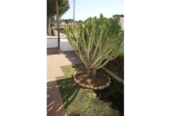 Resale - Villa - Cabo Roig - MUY CERCA DE LA PLAYA