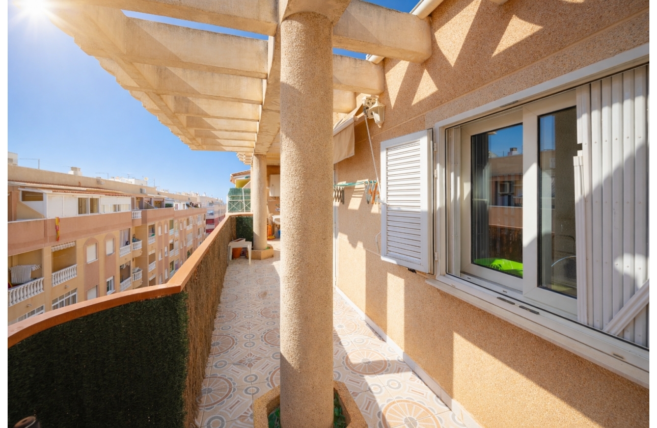 Resale - Apartment - Torrevieja - Parque de Las Naciones