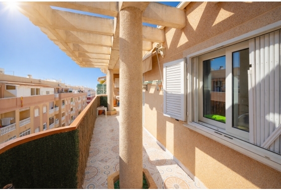 Resale - Apartment - Torrevieja - Parque de Las Naciones