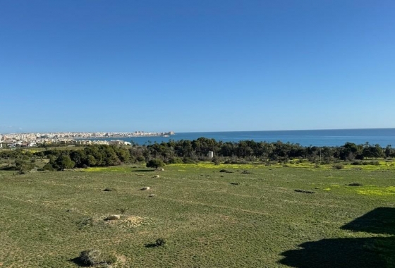 Resale - Apartment - Torrevieja - Punta prima