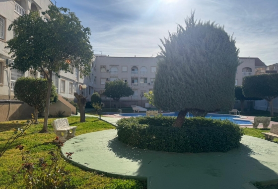 Resale - Apartment - Torrevieja - Playa del Acequión