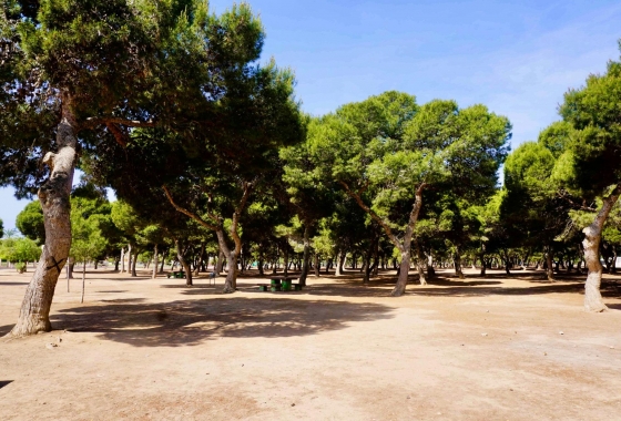 Revente - Appartement - Santiago de la ribera - Santiago de la Ribera