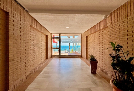 Revente - Appartement - Torrevieja - Estacion de autobuses