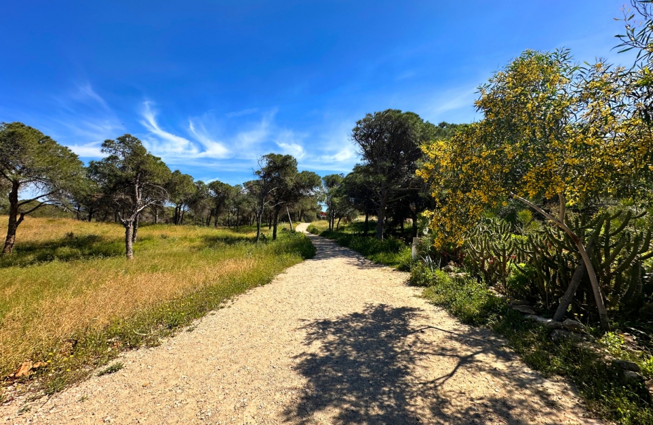 Resale - Townhouse - Guardamar del Segura