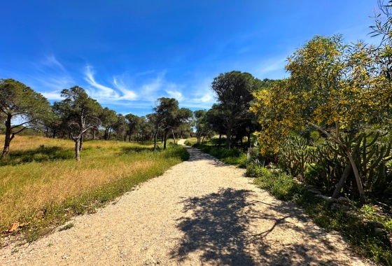 Resale - Townhouse - Guardamar del Segura