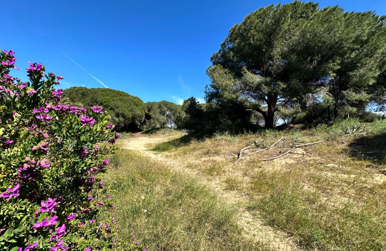 Resale - Townhouse - Guardamar del Segura