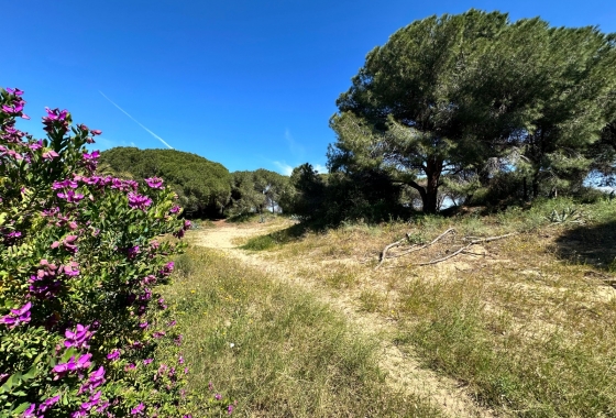 Resale - Townhouse - Guardamar del Segura