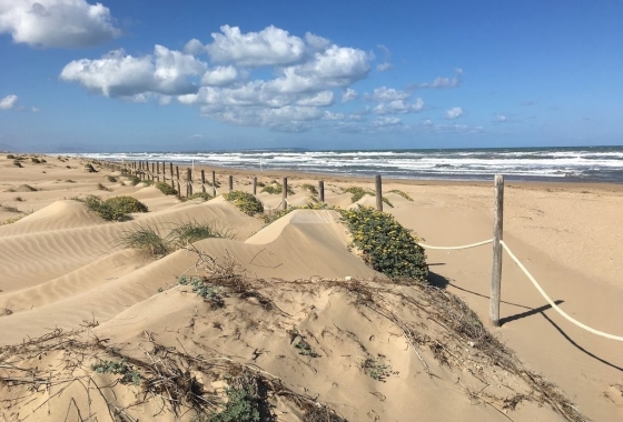 Resale - Townhouse - Guardamar del Segura