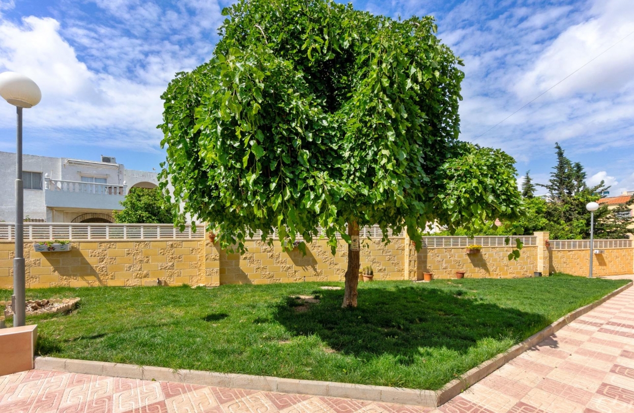 Resale - Apartment - Torrevieja - El chaparral