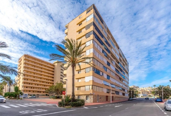Resale - Apartment - Torrevieja - Cabo Cervera