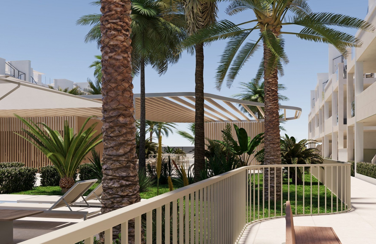 Nouvelle construction - Appartement - san cayetano