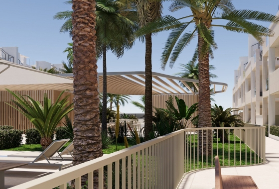 Nouvelle construction - Appartement - san cayetano