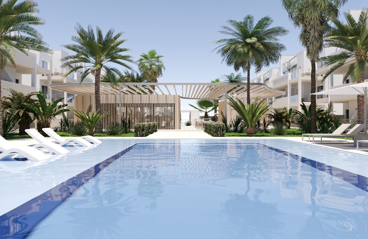 Nouvelle construction - Appartement - san cayetano